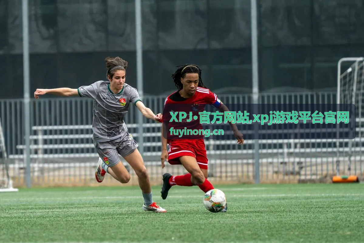 XPJ·官方网站识别要点配图